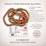 5 Mukhi Rudraksha Mala - Image 4