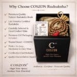 5 Mukhi Rudraksha Mala - Image 3