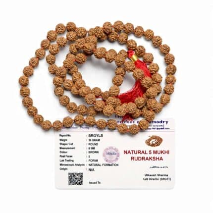 Rukraksh Mala 108 Beads