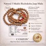 Rukraksh Mala 108 Beads