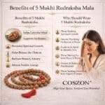 5 Mukhi Rudraksha Mala - Image 2